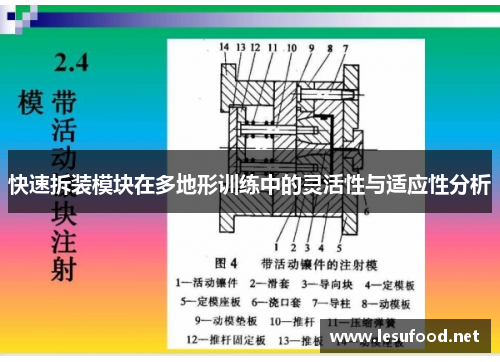 快速拆装模块在多地形训练中的灵活性与适应性分析