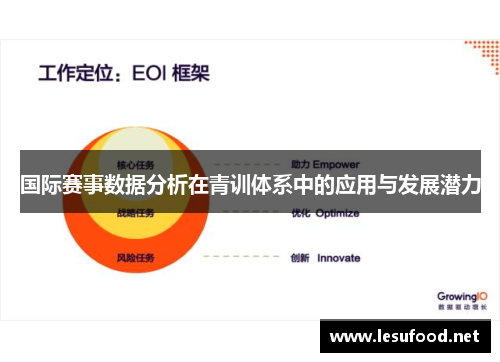 国际赛事数据分析在青训体系中的应用与发展潜力