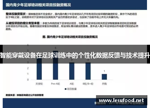 智能穿戴设备在足球训练中的个性化数据反馈与技术提升