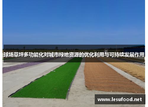 球场草坪多功能化对城市绿地资源的优化利用与可持续发展作用